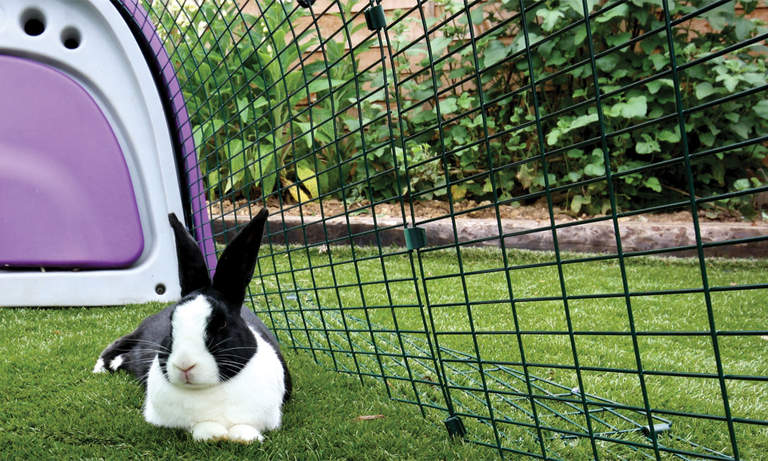 How to Keep a Rabbit Hutch Cool in Summer