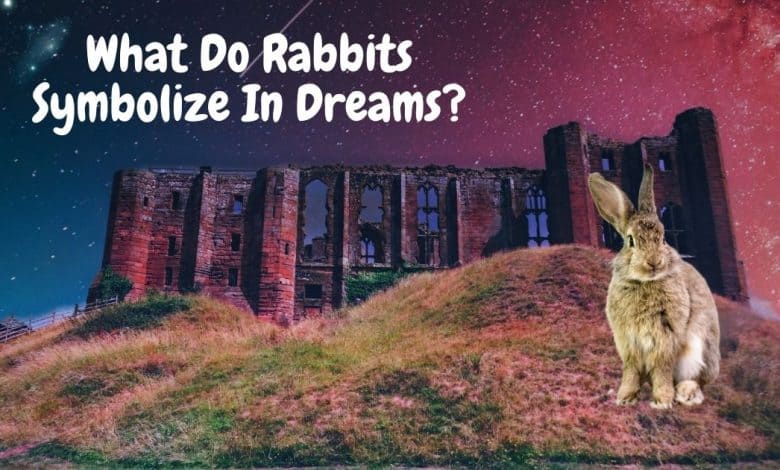 What do rabbits symbolize in dreams