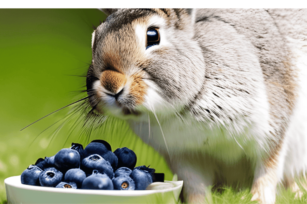 Can Rabbits Eat Blueberries? Busting Berry Myths for Bunnies